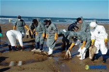 기름제거 봉사활동하는 재향군인회