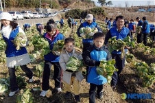 한 포기라도 거들어야지