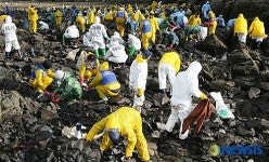 대구은행, DGB봉사단 기름유출현장 자원봉사실시