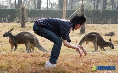 동물원 동물들 무작정 따라하기