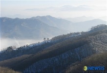 태백산맥의 장관