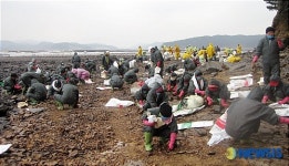 서해안 농·어가 삶의 터전 지키자