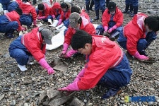 태안 봉사활동 펼치는 농협유통