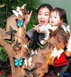 나비가 훨훨~도심속 놀이공원 자연생태체험관