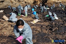 태안 찾아 자원봉사 펼치는 국회 직원들