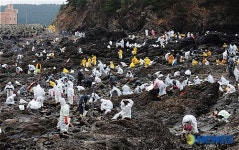 궂은 날씨에도 태안 찾은 자원봉사자들