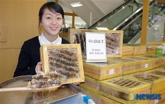 지리산 뱀사골의 토종꿀 드세요~