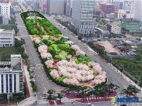 광주시청 앞 미관광장 생태숲 조감도