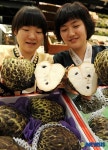 야떼모아 최고에요!