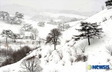 한 폭의 그림 같은 횡계의 설경