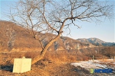 2008 자라섬 바깥미술展 - 박봉기作 소식