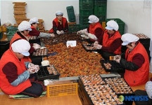 맛과 품질 뛰어난 영동곶감