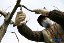 봄 농사 준비 한창