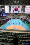 한국의 올림픽 효자종목 핸드볼?