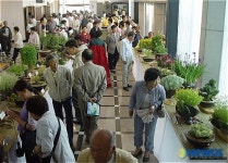 보은서 야생화 전시회