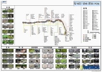청계천 생태지도(전 구간)