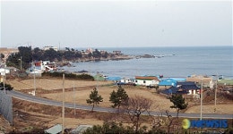 포항 다무포 마을 고래생태마을로 조성 된다