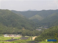‘진안 하초마을 숲’ 천연기념물 지정예고