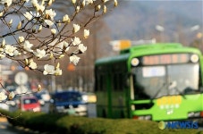 창원의 봄