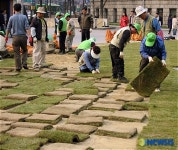 새 봄 맞이로 바쁜 시청 앞 광장