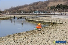 물고기들 위해 최소한의 물만 남기고