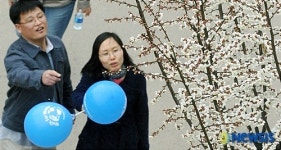 매화꽃이 벌써 폈네