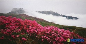 합천군, 관광사진공모전 금상 작품