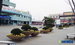 봄 꽃내음 가득한 조치원역으로 오세요