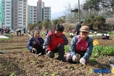 고산농협, 주말농장 개장