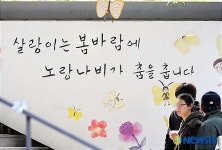 살랑이는 봄바람에노랑나비가...