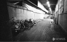 조용한 쯔키지 어시장의 휴일 풍경