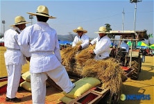 다채로운 행사가 함께하는 봄 축제
