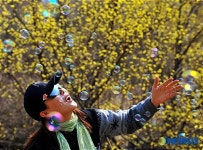 볼거리 가득한 산수유 축제