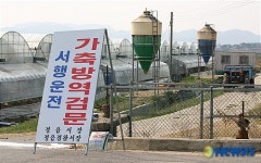 AI확인 정읍 영원 오리농장 통제