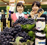 이른 봄부터 선보인 새콤한 포도