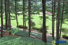 아침고요 산책길