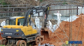 전남서 AI공포 확산