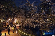 야경과 함께 밤 산책