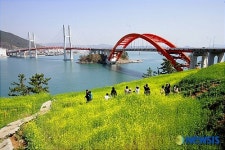 삼천포대교와 쪽빛 바다가 어우러진 유채꽃을 보기 위해 주말을 맞아