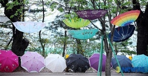 윤중로가 우산길?