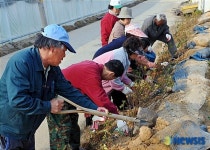 안성시 보개면 살기좋은 지역만들기 한창