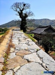 남도석성에 올라