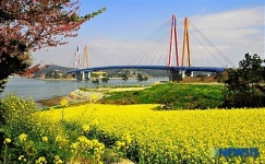 아름다운 진도의 풍경