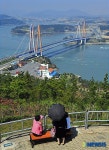 진도대교 바라보는 관광객들