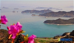 새떼처럼 떠 있는 조도군도