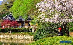 봄 찾아온 운림산방