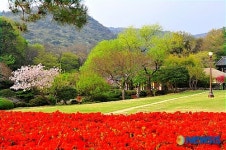 봄 찾아온 운림산방