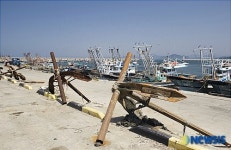 충남 서천 홍원항의 정박중인 어선들.