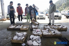 충남 서천 홍원항 어판장 모습