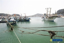 어선들 출어준비